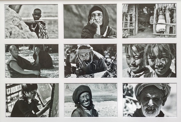 Language in Your Eyes by Anne Barrington