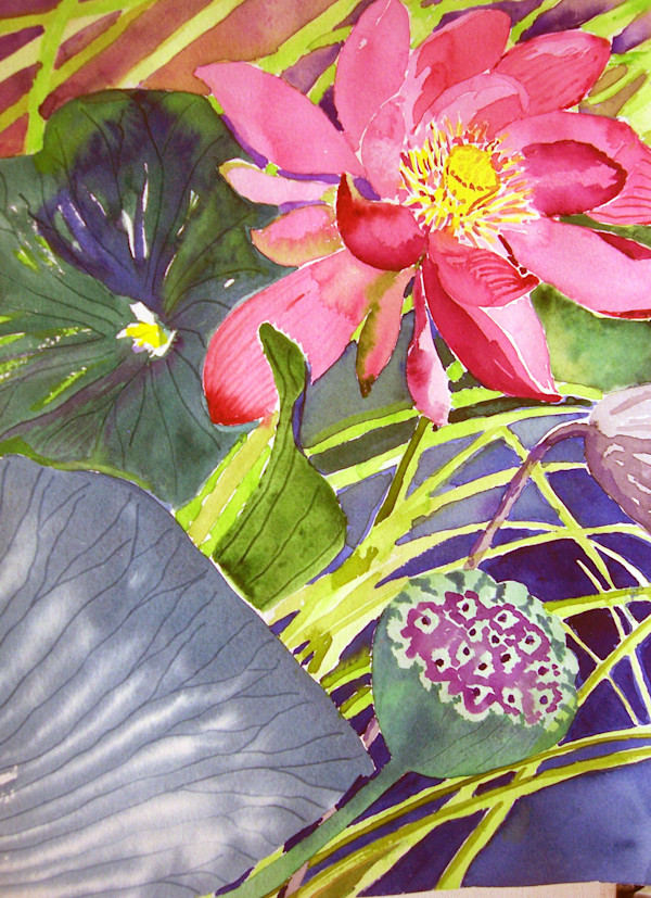 Lotus Bloom 'n' Gone by Diane Rudzinski
