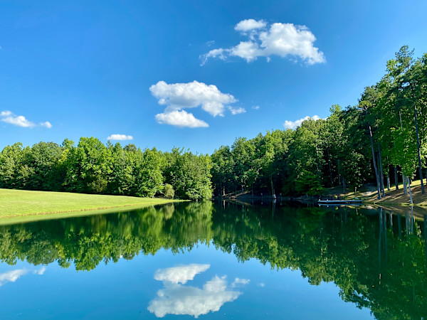 Midsummer Reflection by Lisa Sieg