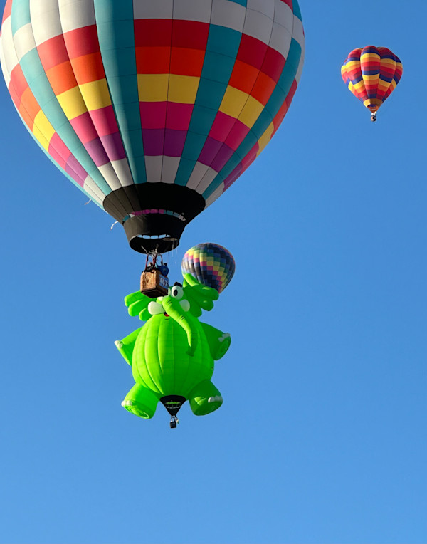 Peekaboo by Eileen Crowe