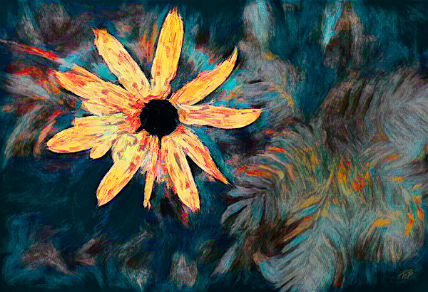 Luminary by Terry Pellmar