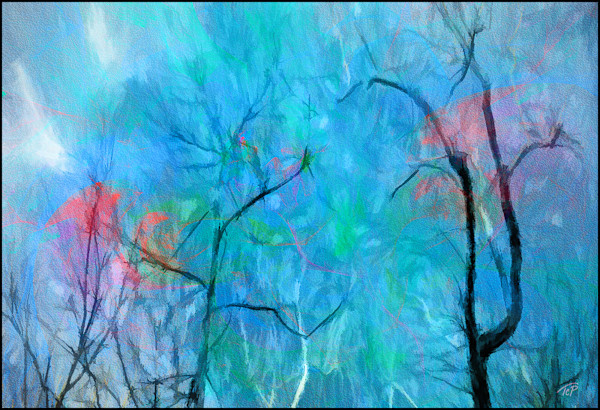 Soft Splashes by Terry Pellmar