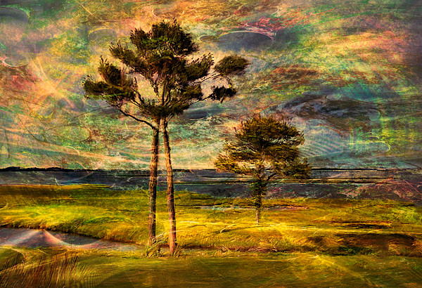 Sun Storm by Terry Pellmar