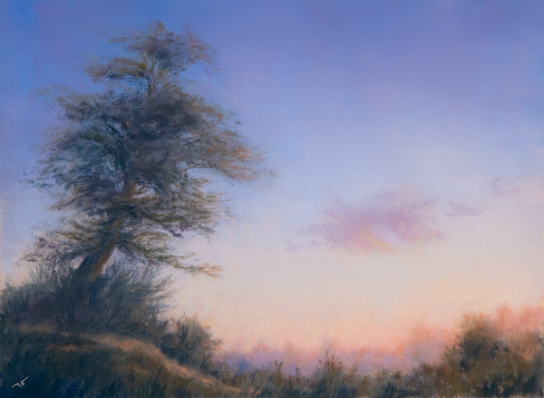 Pink and Pine by David Fronapfel