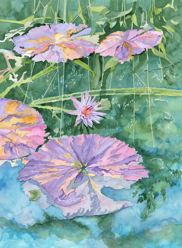 Point of View by Barbara Bell
