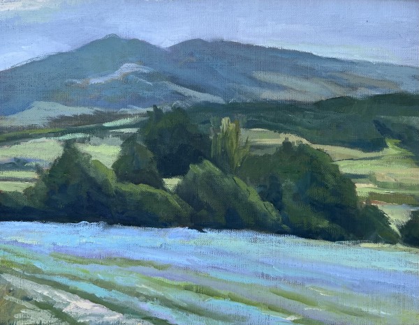 Provence Field by Jennifer Howard