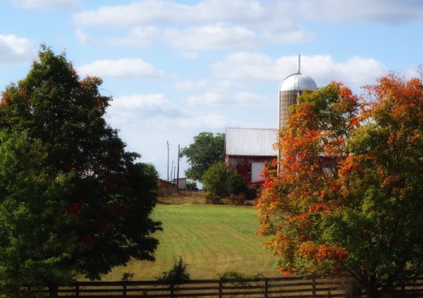 Red Barn, September Afternoon by Lisa Sieg