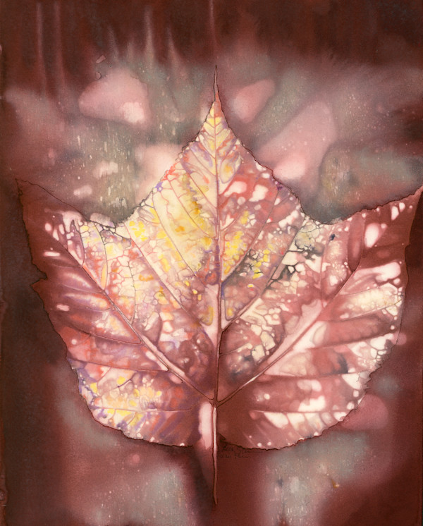 Striped Maple by Beth Stinson, Image 1.