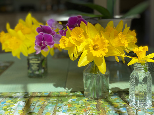 Sunshine on a Sill by Lisa Sieg