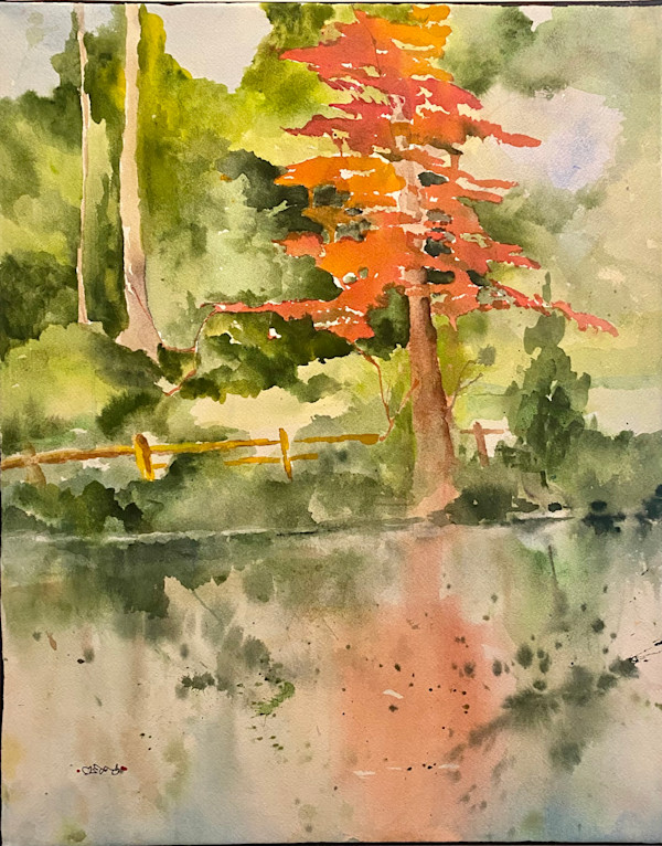 The Tree by Jane Salomon