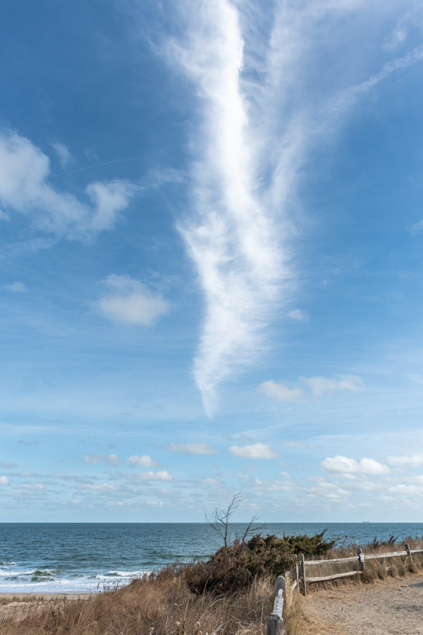 Tree-Cloud Outreach by Gary Clark