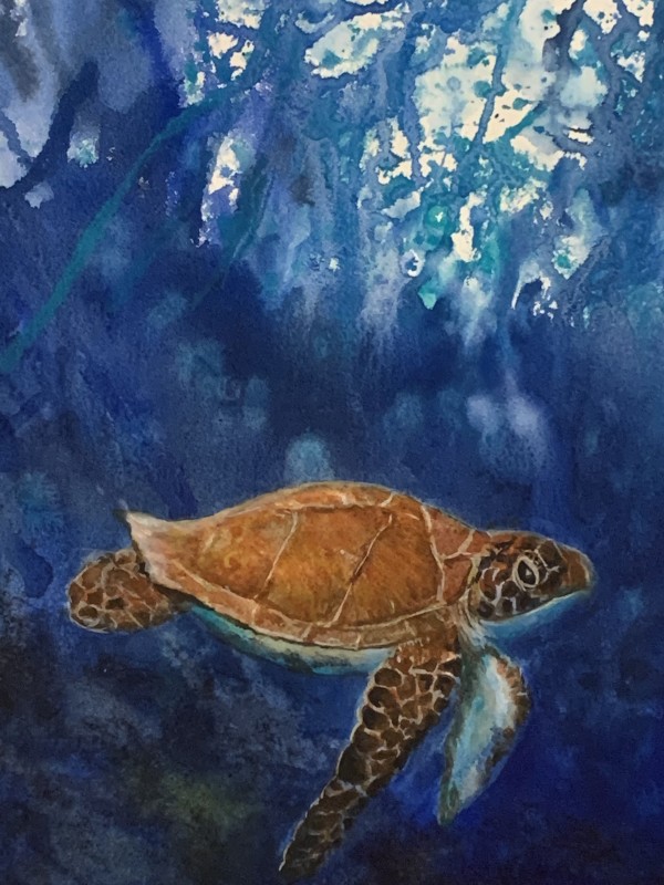 Under the Sea by Lily Kak