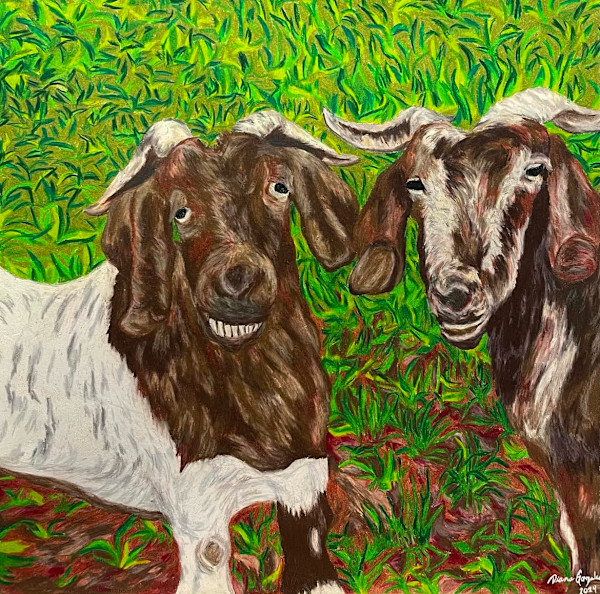 Twin Goats by Diana Gonzales