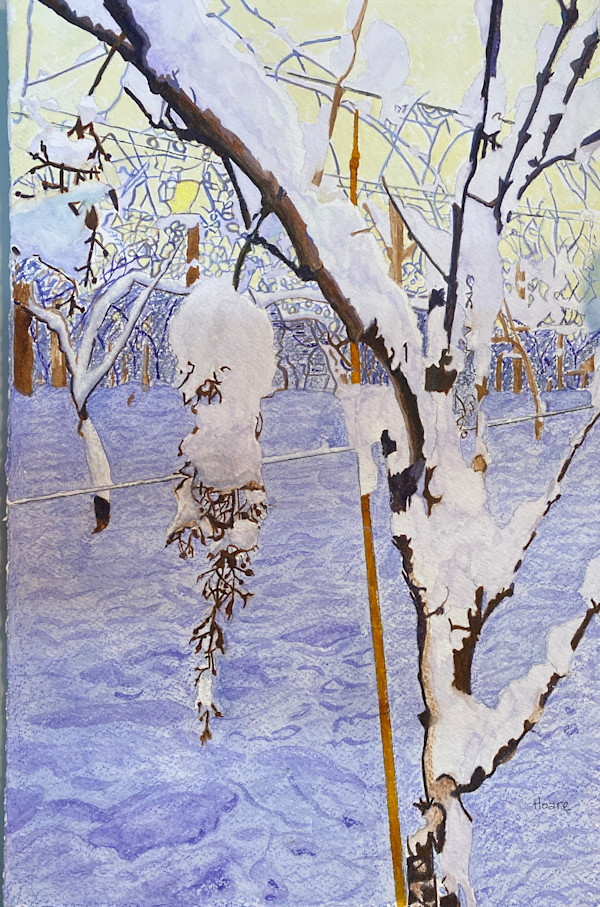 Snow on The Vine by Alexandra Treadaway Hoare