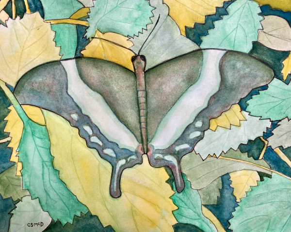 Wings and Leaves by Cathy Mc Dermott