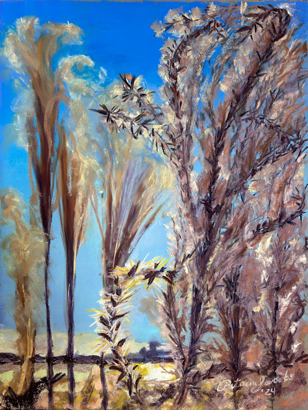 Winter Glow by Patricia Swan Jacobs