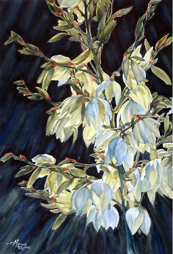 Yucca Flowers by Susan Moses