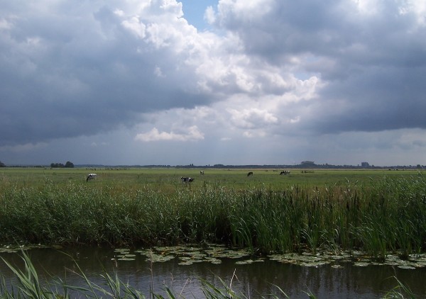 About to Get Wetter by Sheila Moldover