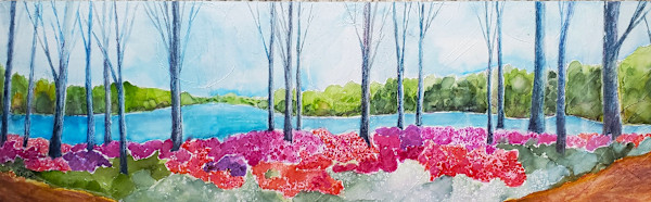 Brighton Dam by Margo Kabel