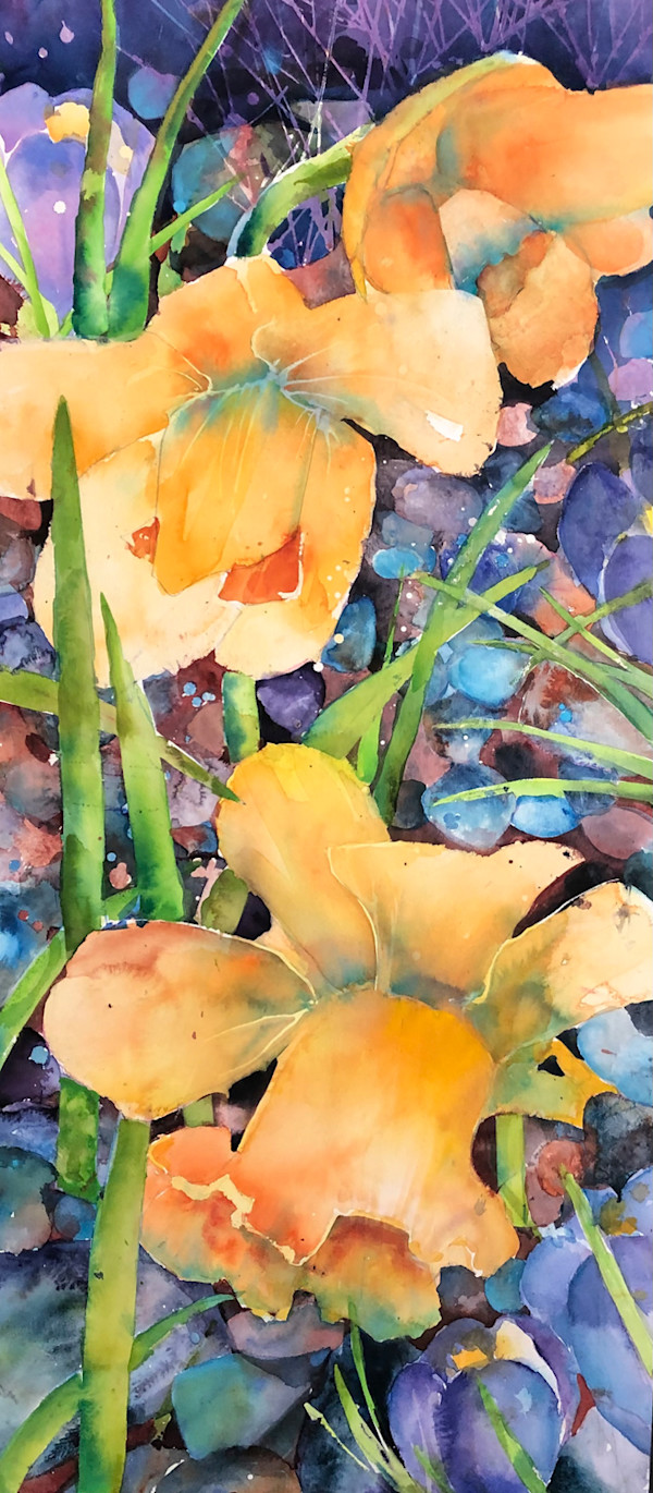Daffodil by David Daniels