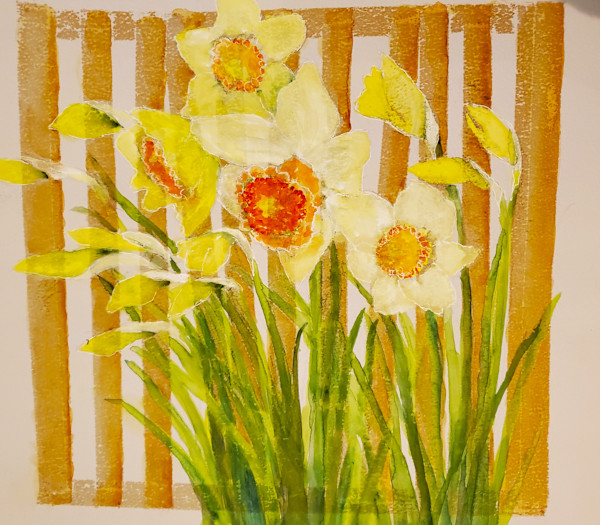 Daffodils by Margo Kabel