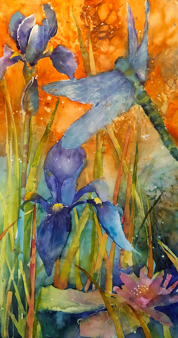 Dragonfly and Iris by David Daniels