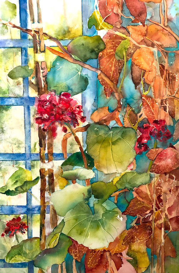 Geranium Window by David Daniels