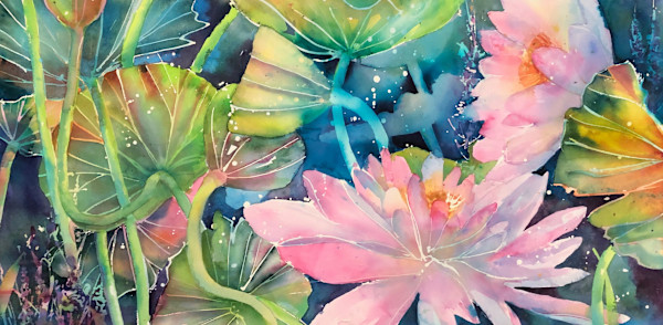 Lotus by David Daniels