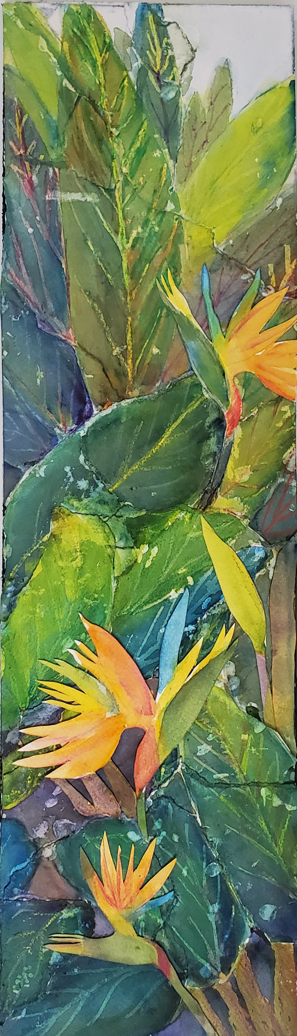 Paradise by Margo Kabel