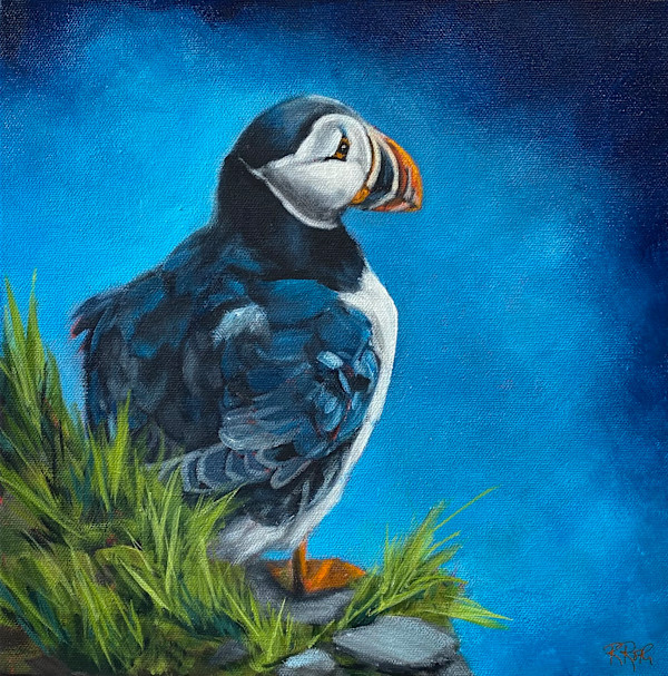 Nemo by Raquel Roth