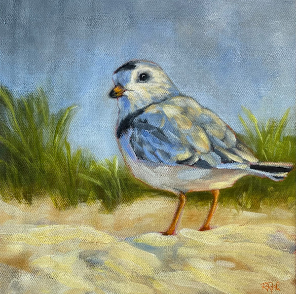 Stanley by Raquel Roth