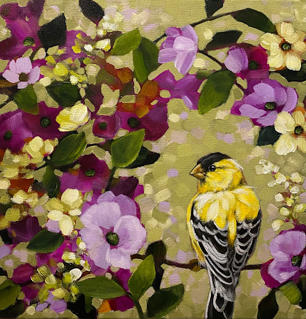 Wilson by Raquel Roth