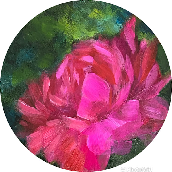 Captivating by Raquel Roth