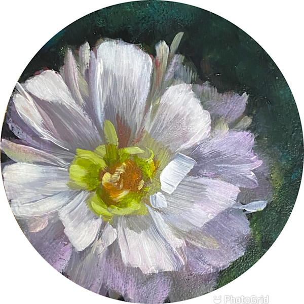 Enchanting by Raquel Roth
