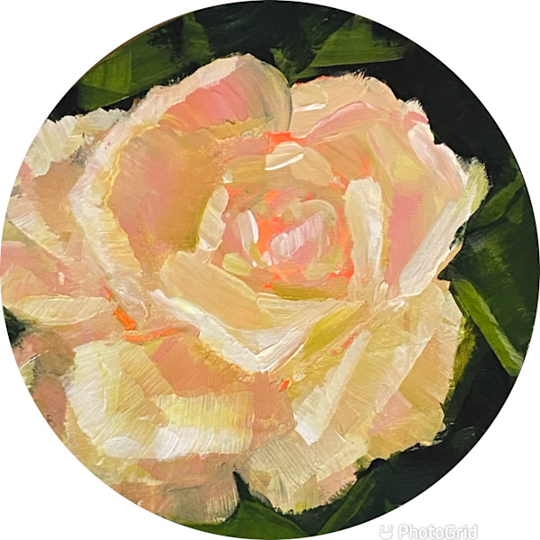 Faith by Raquel Roth