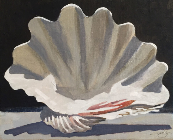 Clam Shell Study by Baron Wilson