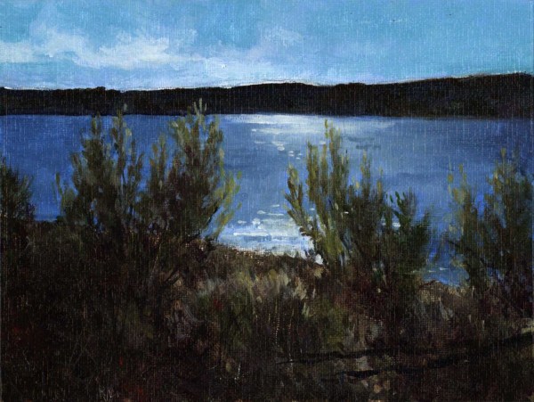 Lake Belton by Baron Wilson