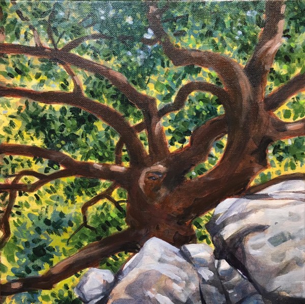 Taniguchi Tree & Rocks by Baron Wilson
