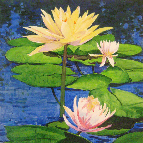 Waterlily 3 by Baron Wilson