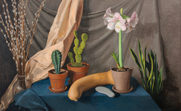 Amaryllis and Cacti - Winter Still Life by Sarah F. Burns