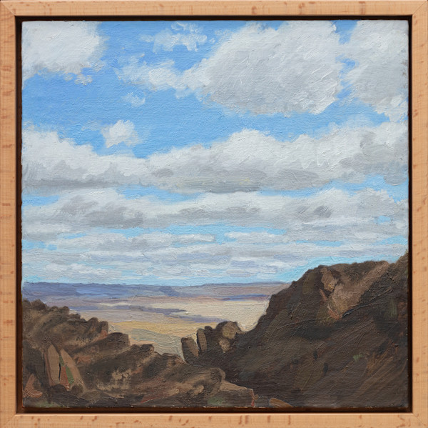 Alvord Desert with Cumulus Clouds by Sarah F. Burns