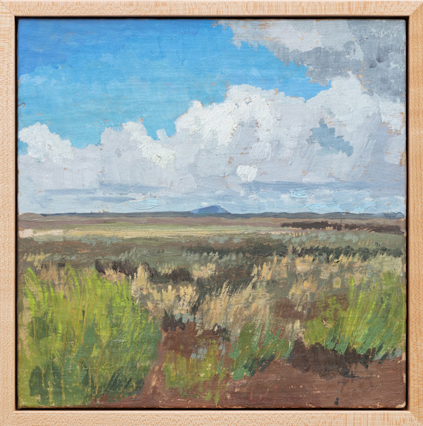 Beatys Butte - From French Glen Road, Hart Mountain National Antelope Refuge by Sarah F. Burns