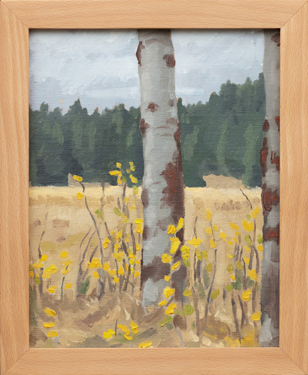 Aspen at Vesper Meadow by Sarah F. Burns