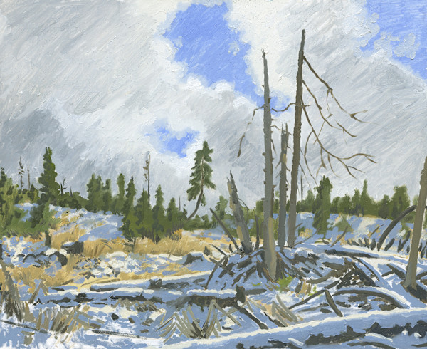 Clear Cut at Vesper Meadow by Sarah F. Burns