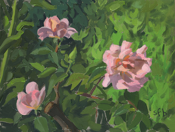 Compassion Roses by Sarah F. Burns