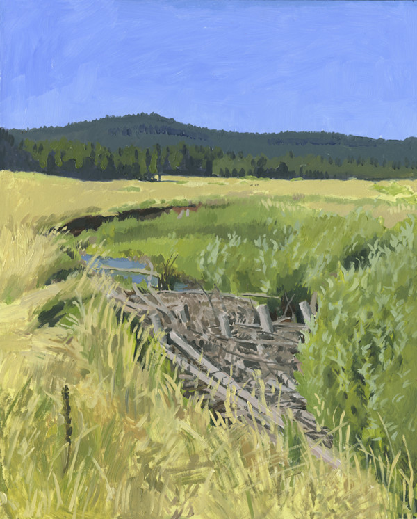 Bovine Beach - July 2023 by Sarah F. Burns