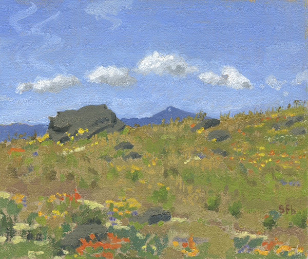 Mount Ashland From the PCT near Hobart Bluff by Sarah F. Burns