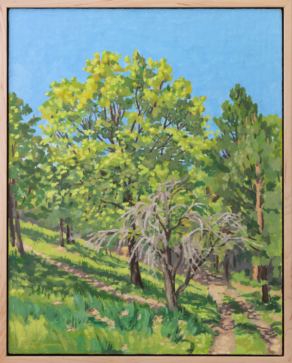 Young Oak  with Old Apple - Spring by Sarah F. Burns