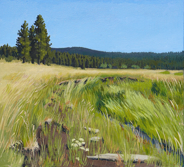 Bovine Beach July 2022 by Sarah F. Burns