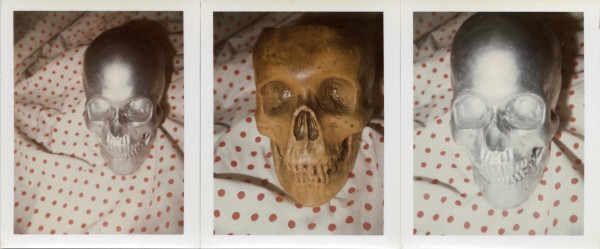 Robert Mapplethorpe Skulls (3) by Roger Mapplethorpe